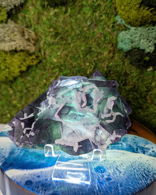 Fluorite (zhejiang mine)